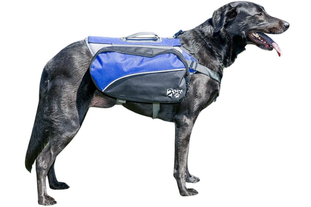 Black dow wearing the blue and black dog hiking backpack from 2PET. 