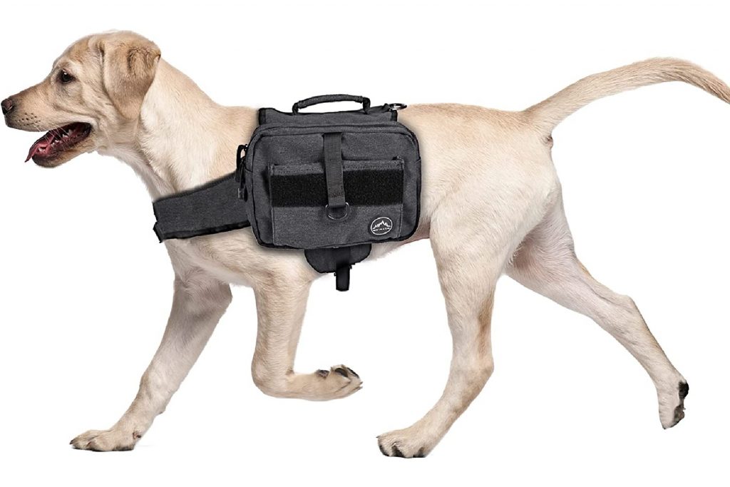 Dog wearing the Himal Outdoors Dog Backpack in black.