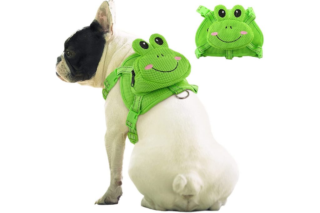 Dog wearing a small dog hiking backpack from IDOMIK in green with a frog design.