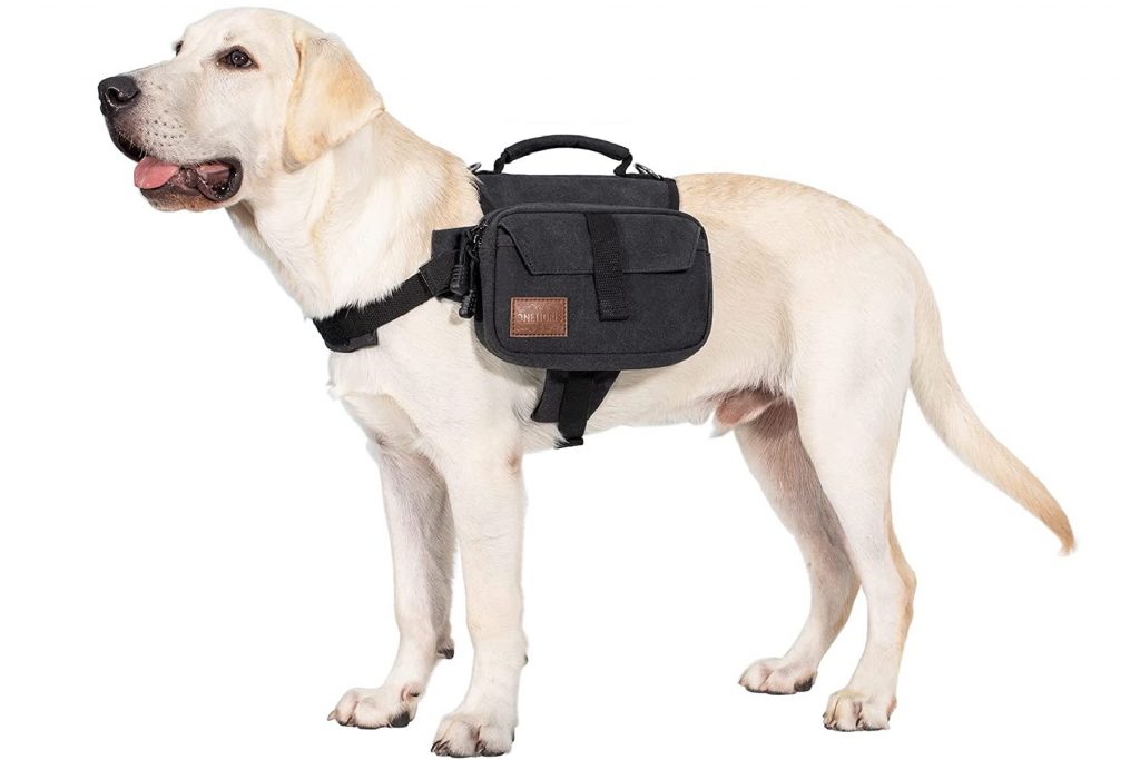 A dog wearing the Onetigris Hoppy Camper dog pack in black.