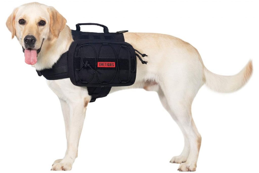 Dog wearing the Mammoth Dog Pack from OneTigris in black with red detailing. 