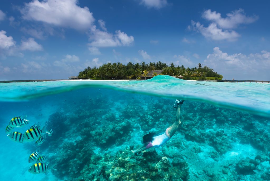 Woman snorkeling in the waters of Maldives during the dry season, the best time to visit Maldives for outdoor activities.