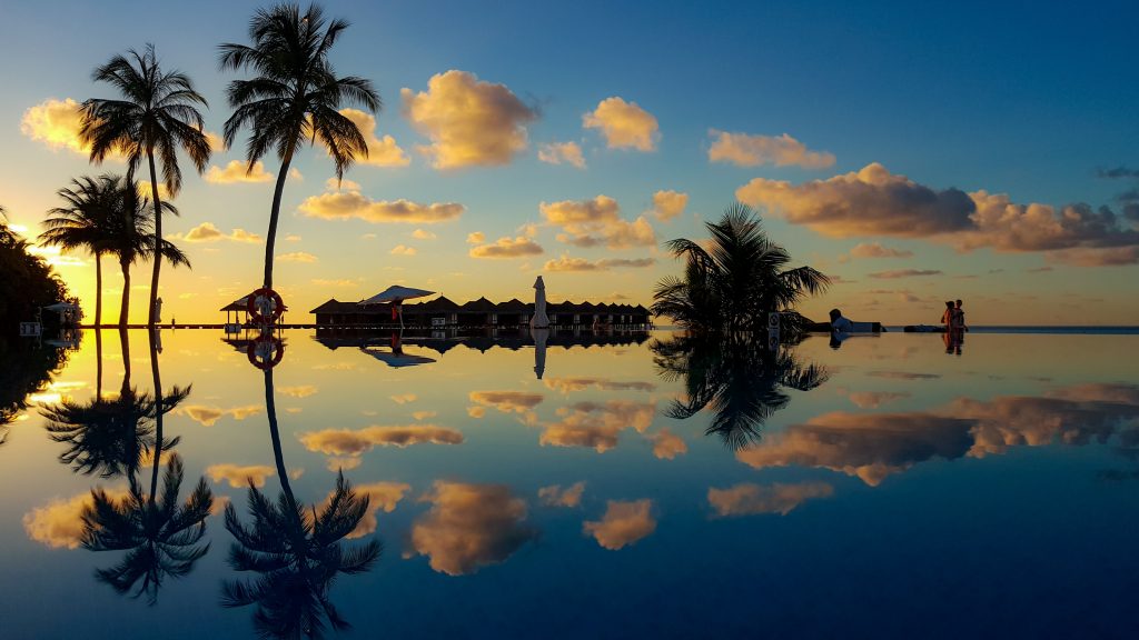The sky, clouds, and palm trees reflected in a body of water during sunset in Maldives.