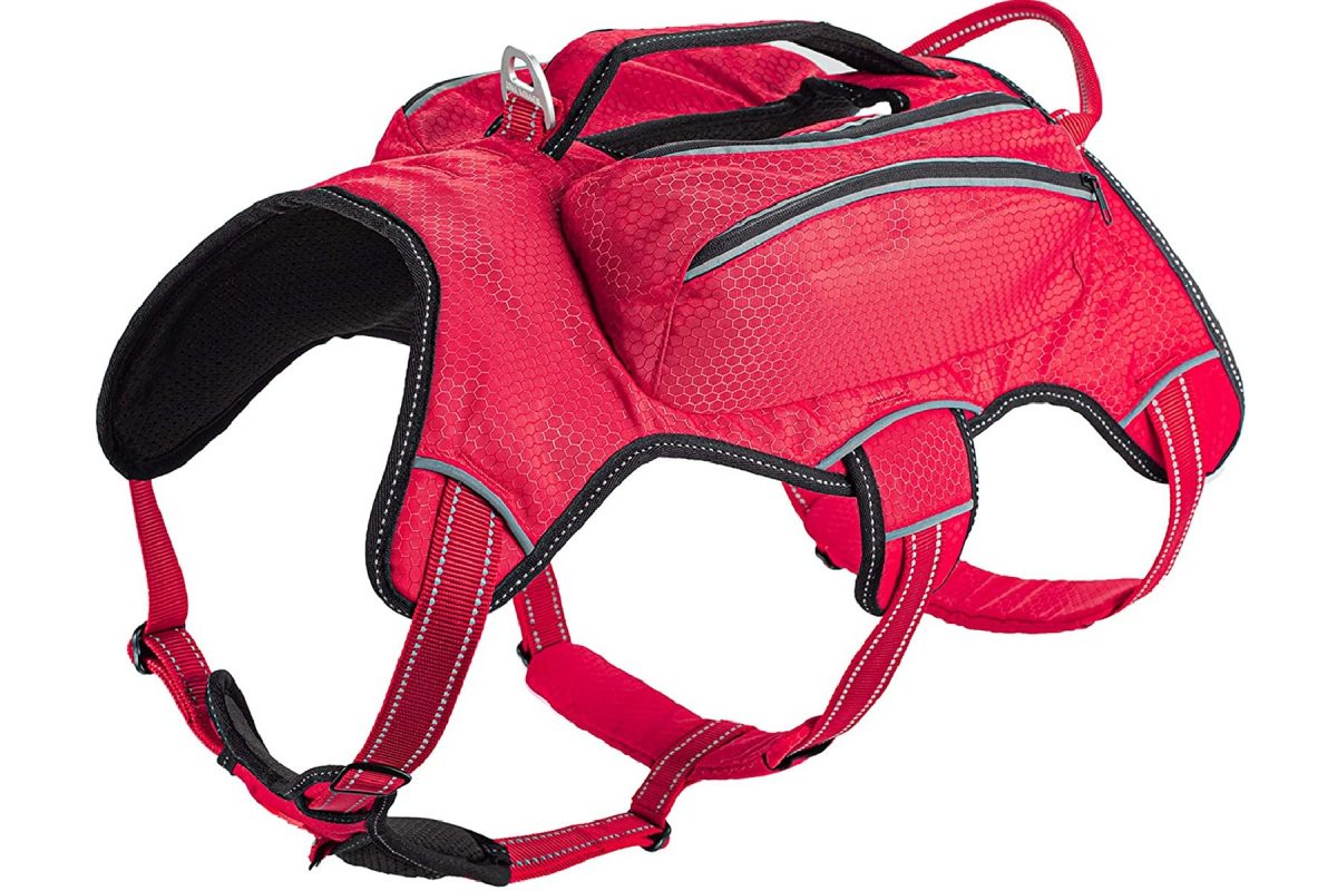 21 Best Dog Hiking Backpacks for Your Furry Companions TouristSecrets