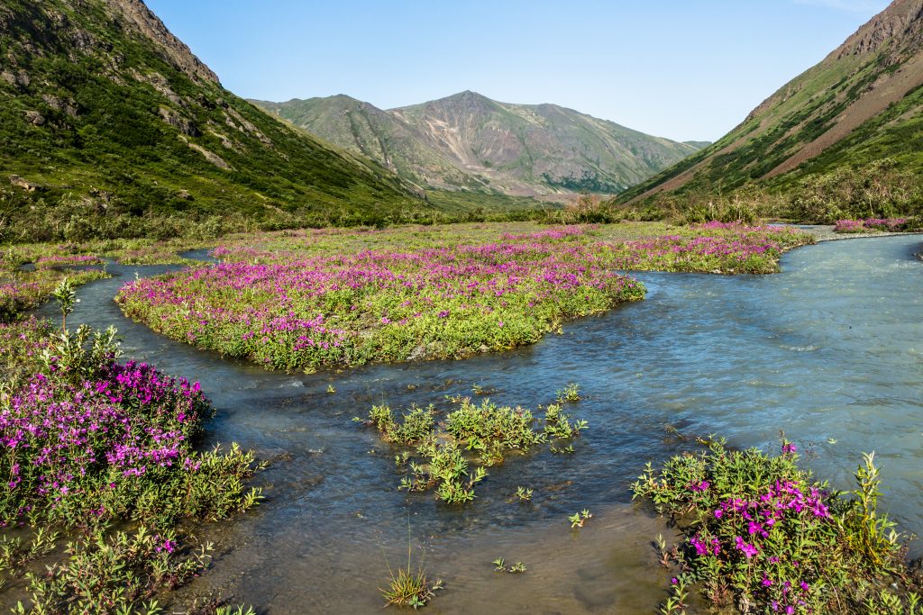 When Is The Best Time To Go To Alaska A Season by Season Guide