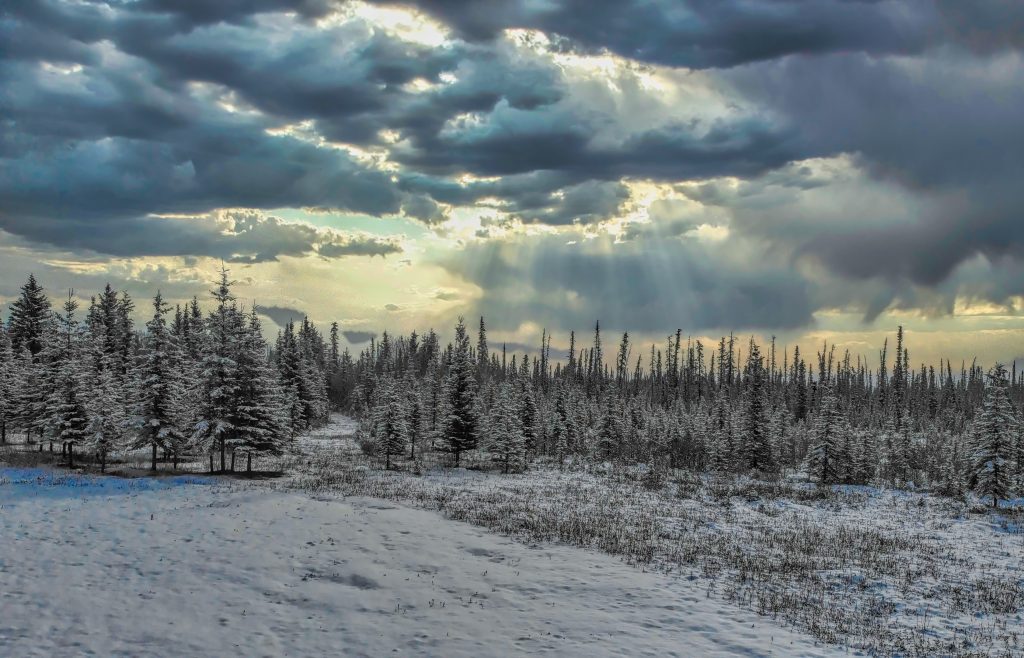 When Is The Best Time To Go To Alaska A Season by Season Guide