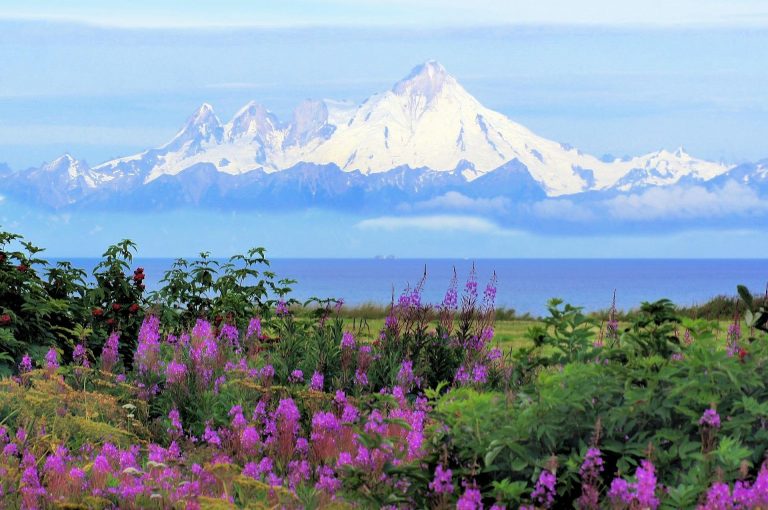 When Is The Best Time To Go To Alaska A Season by Season Guide