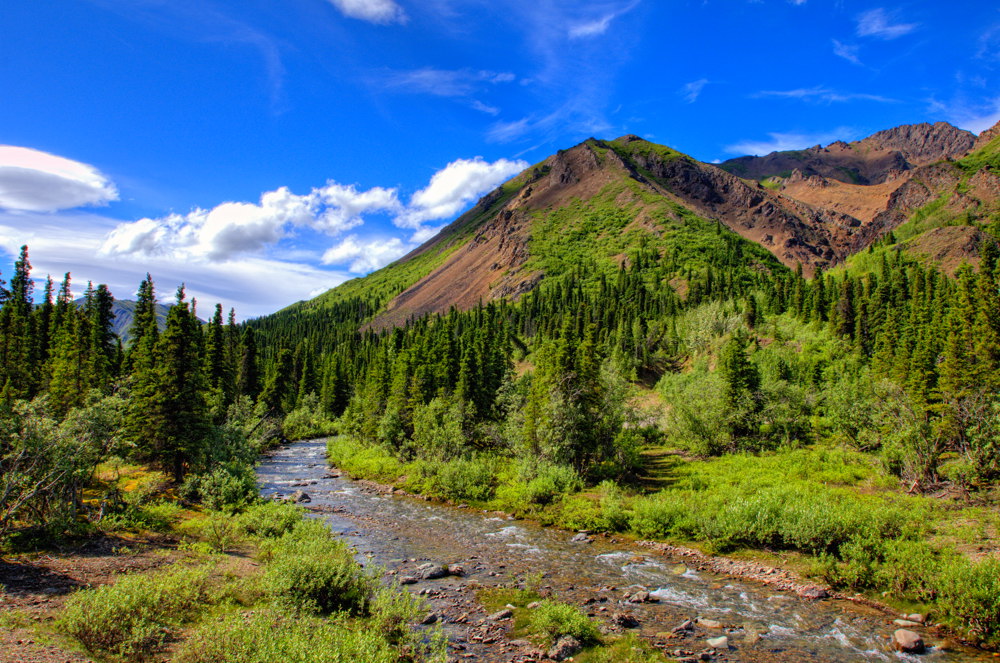 A stream surrounded by greenery with mountains in the background in Denali National Park in Alaska, one of the best places to visit in July USA.