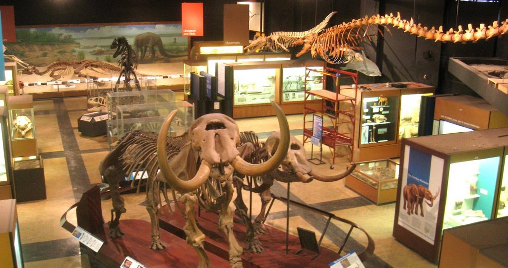 New Mexico Museum of Natural History