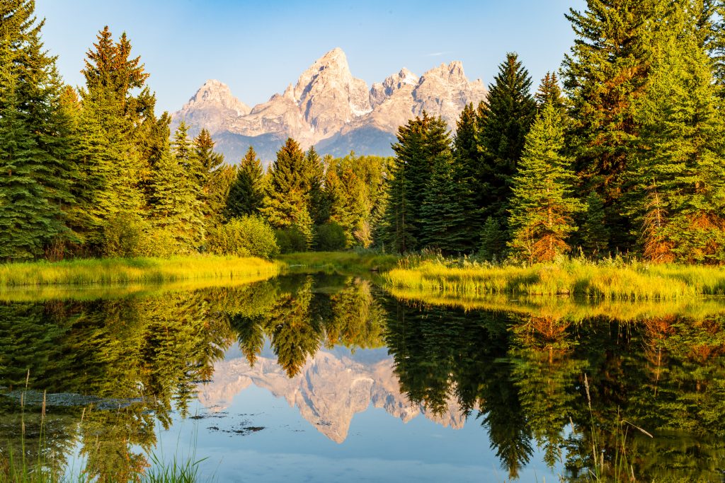 Trees and mountain ranges reflected in a body of water in Grand Teton National Park.