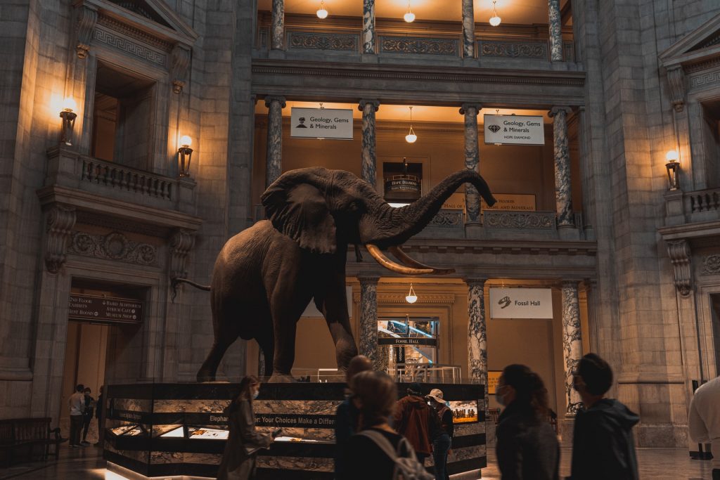 National Museum of Natural History