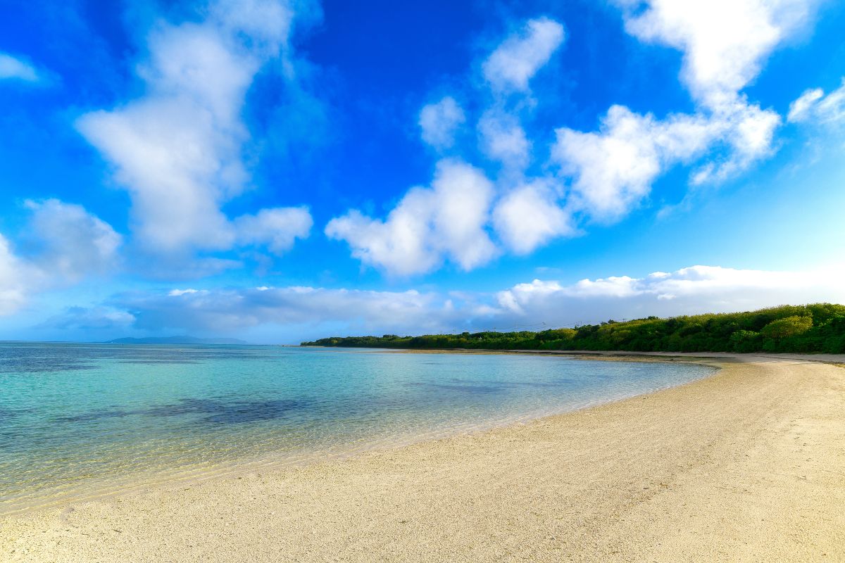 White sand beach.