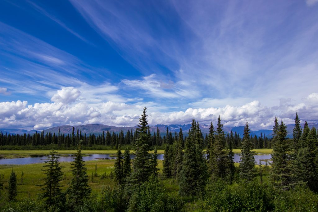 When Is The Best Time To Go To Alaska A Season by Season Guide