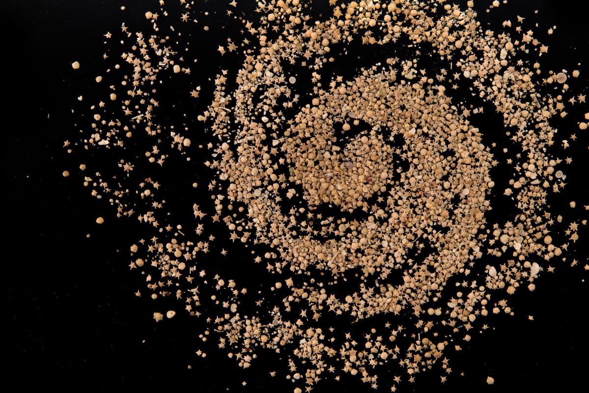 Star-shaped sand from Taketomi Island on a black backdrop. 