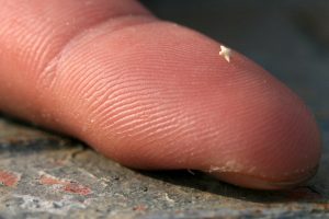 Close up of a finger holding a grain of star-shaped sand.