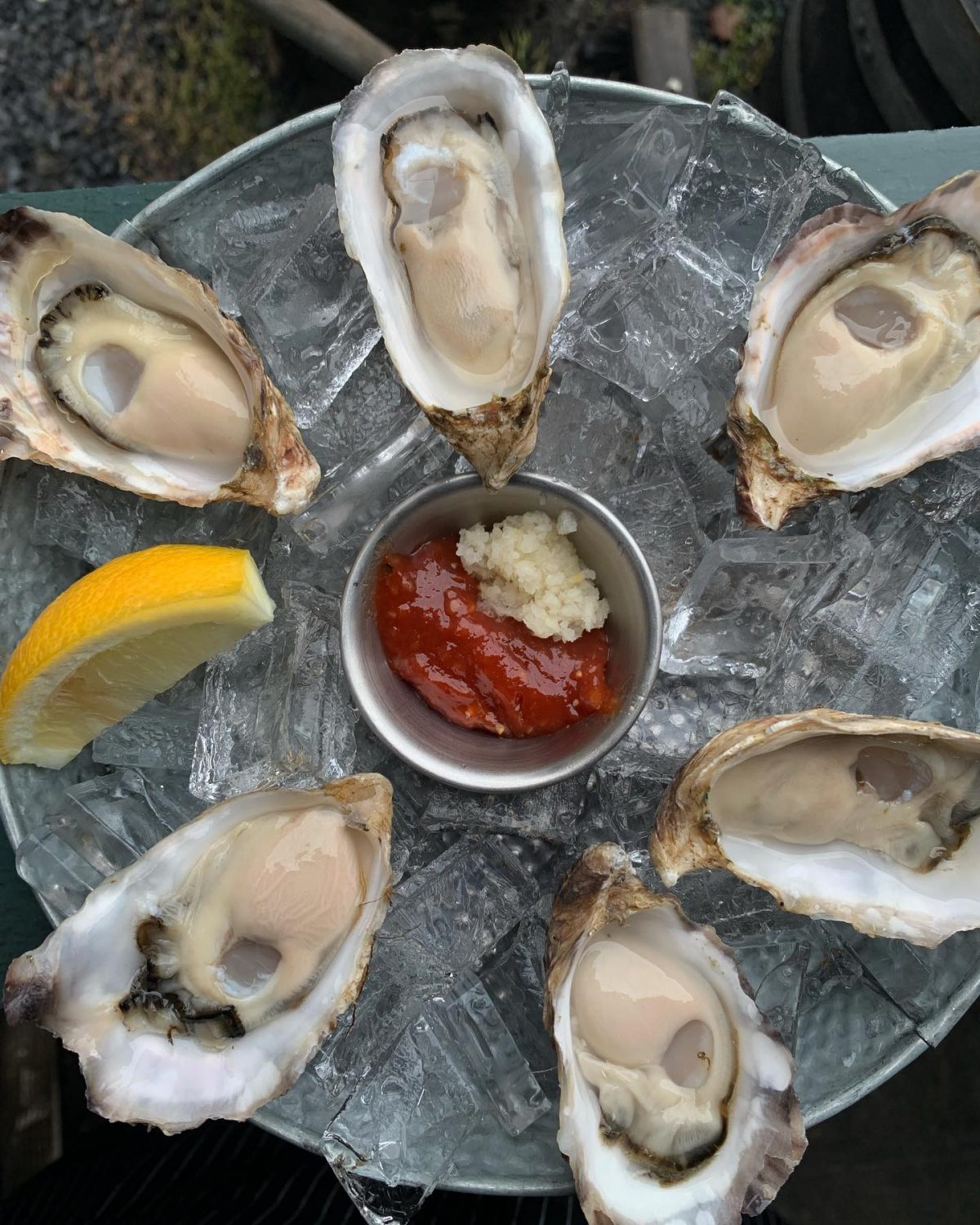 Fresh oysters with a slice of lemon served on ice from The Cookery in Seward.