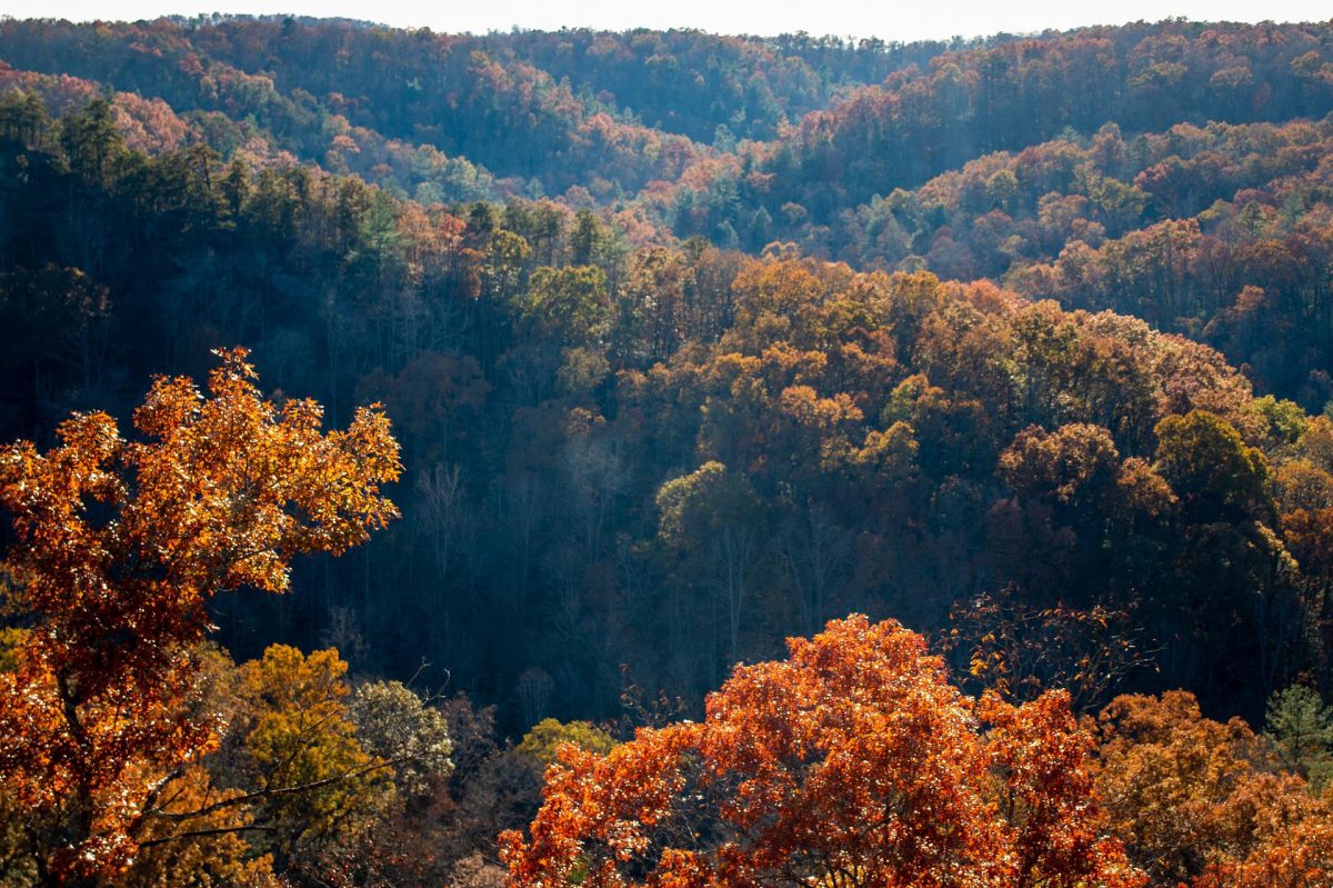 Fall foliage found in Asheville, North Carolina, one of the best fall vacation spots in the US.