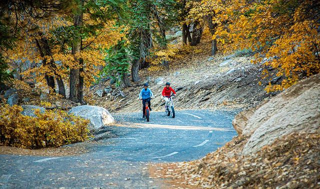Two cyclists biking along the trails of Big Bear Lake surrounded by fall colors, one of the fun things to do in the fall.
