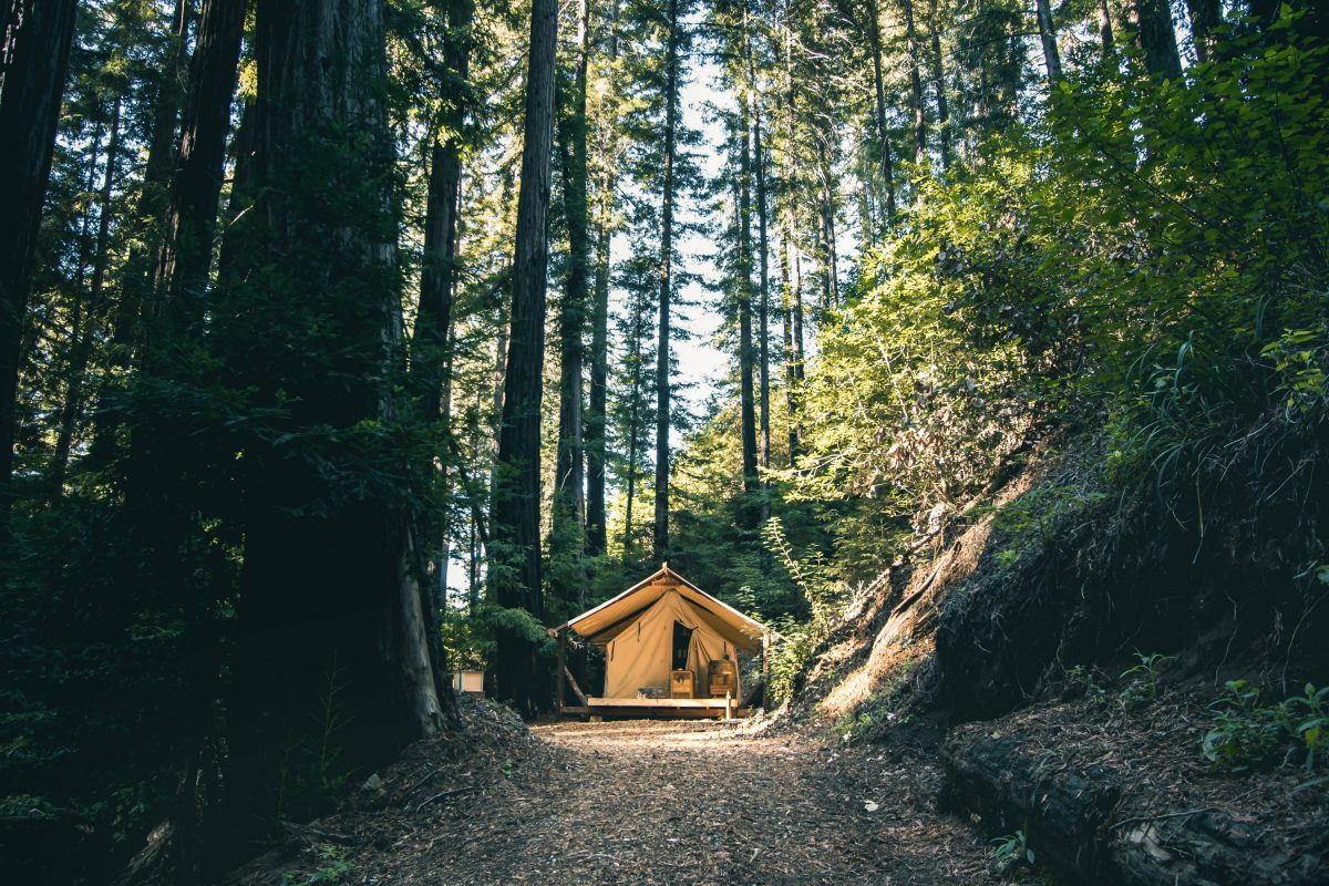 Glamping site within the forest of Big Sur, California.