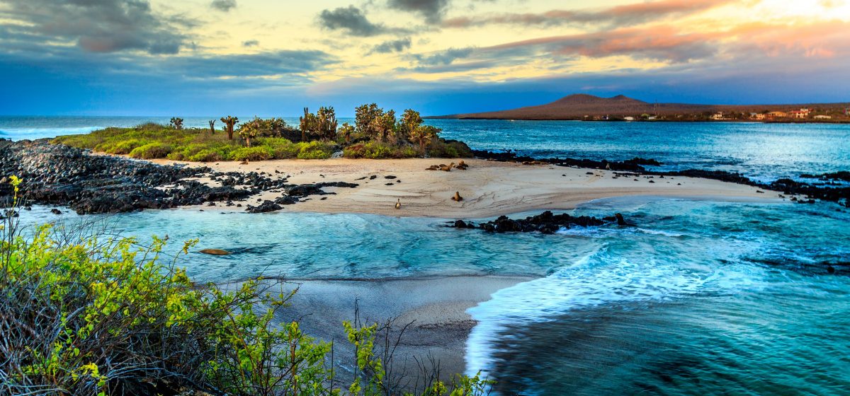 Adventure And Expedition In Cruises