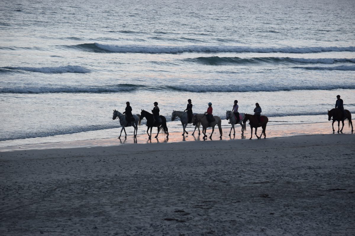 Group of people on horseback along the beach.