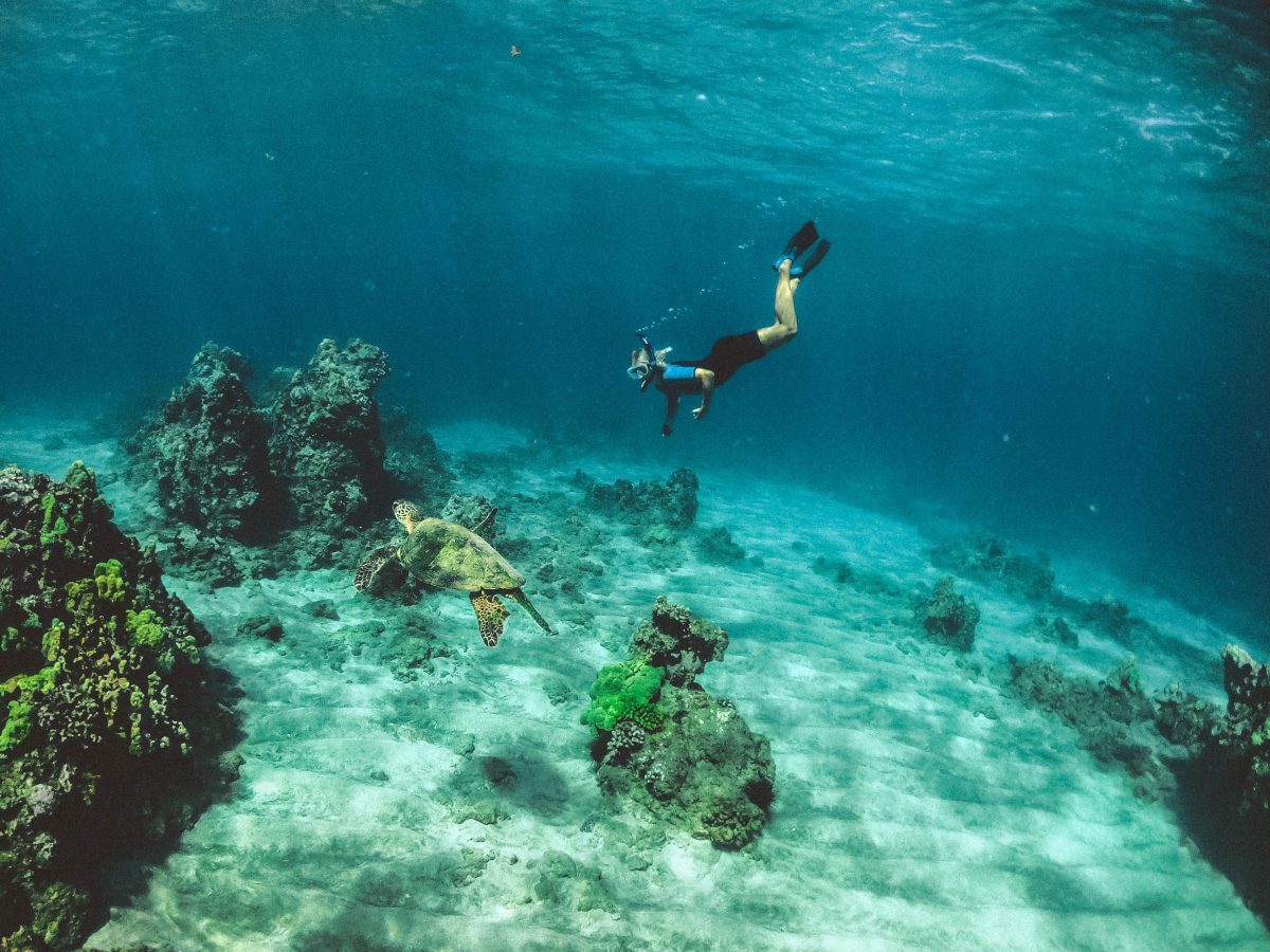 Scuba diver swimming near a sea turtle in Maui, Hawaii, one of the best tropical places to travel in September.