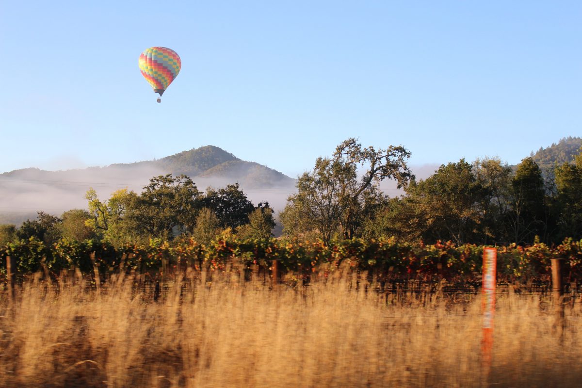 Hot air balloon soaring above Napa Valley during fall.