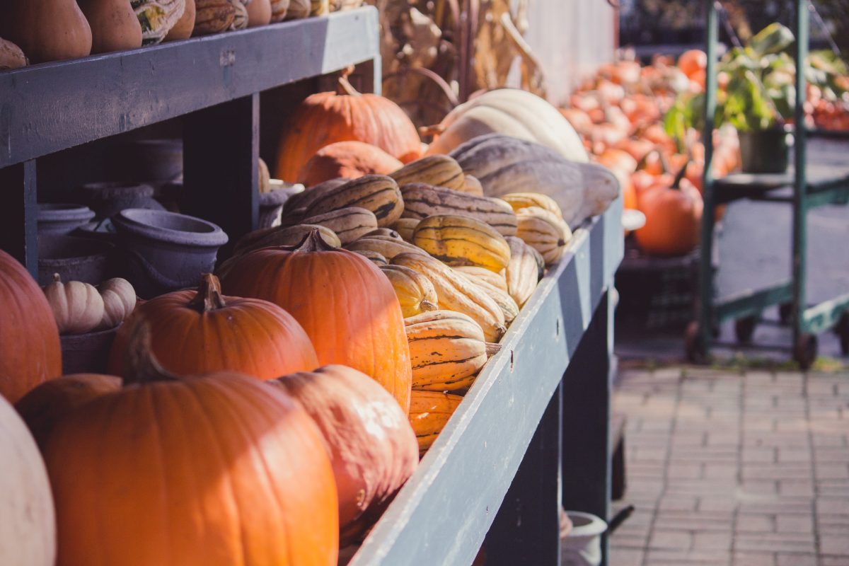 Pumpkins on display at a farmers market during the fall season.