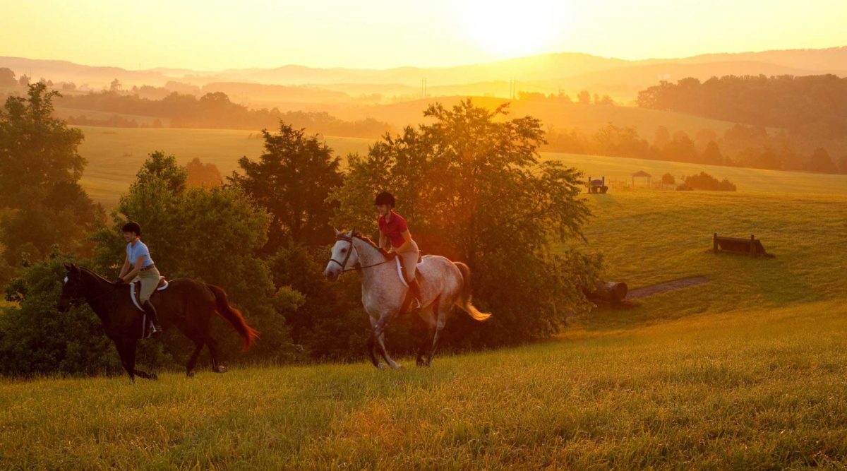 Two equestrian riding horses in the fields of Shenandoah Valley during fall.