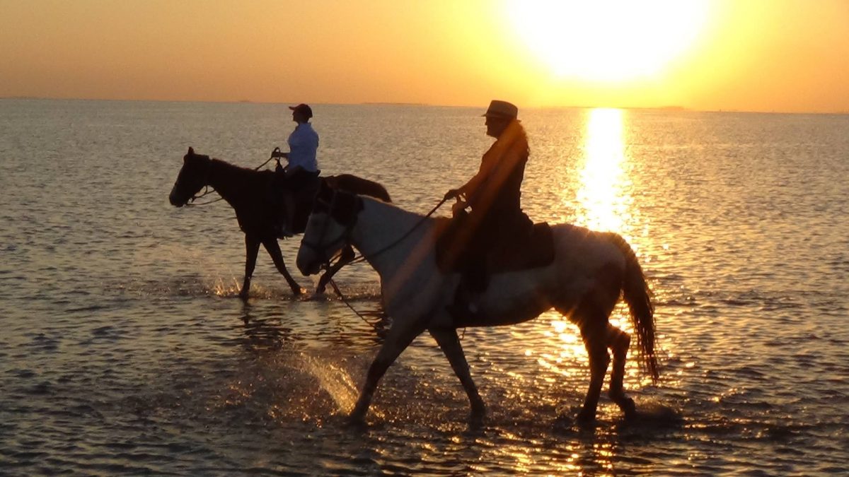 Couple on horseback at the beach during sunset in South Padre Island.