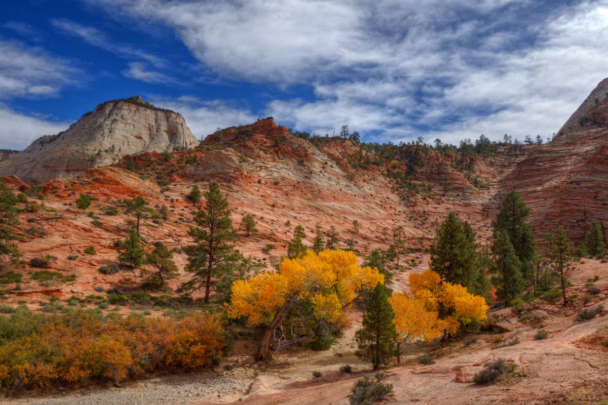 Fall foliage against red sandstone rock formations in Zion National Park, one of the best fall vacation spots in the US.