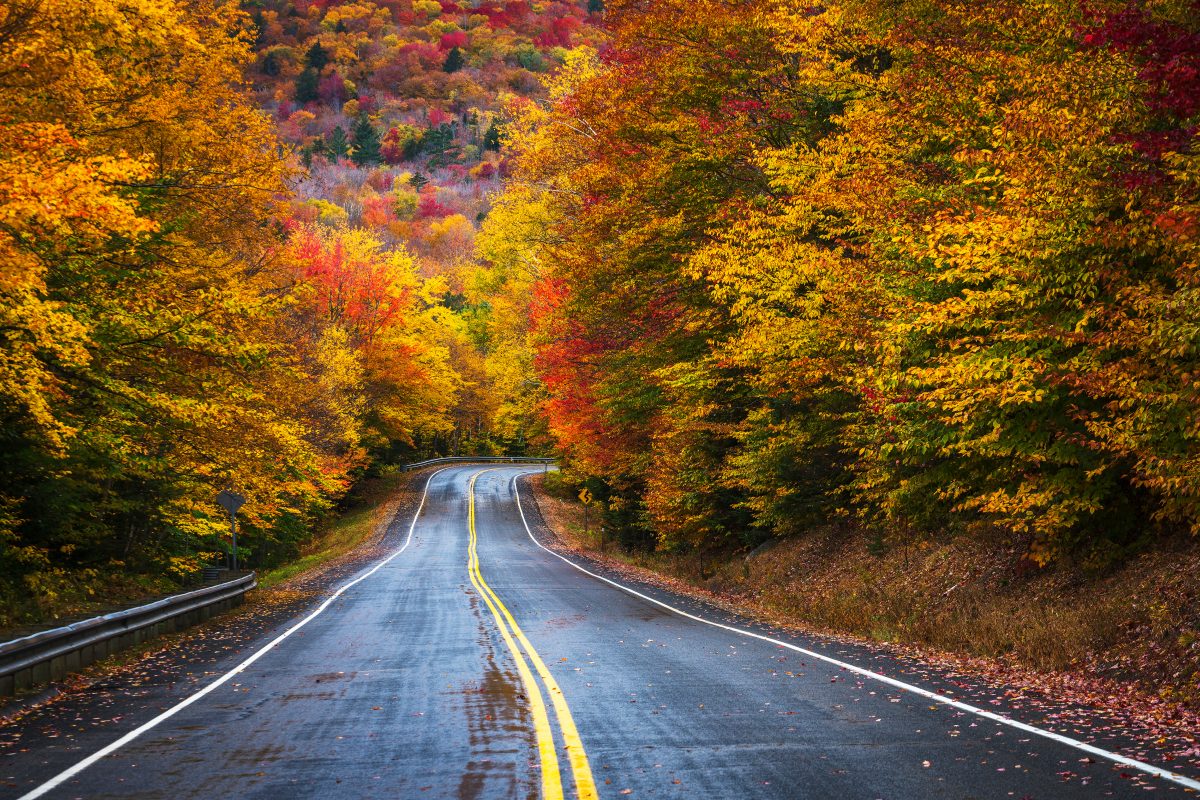 fall foliage along new hampshire highway.