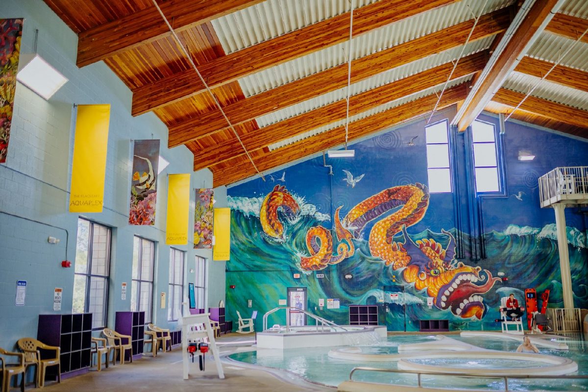 Giant mural at the indoor pool of Flagstaff Aquaplex.