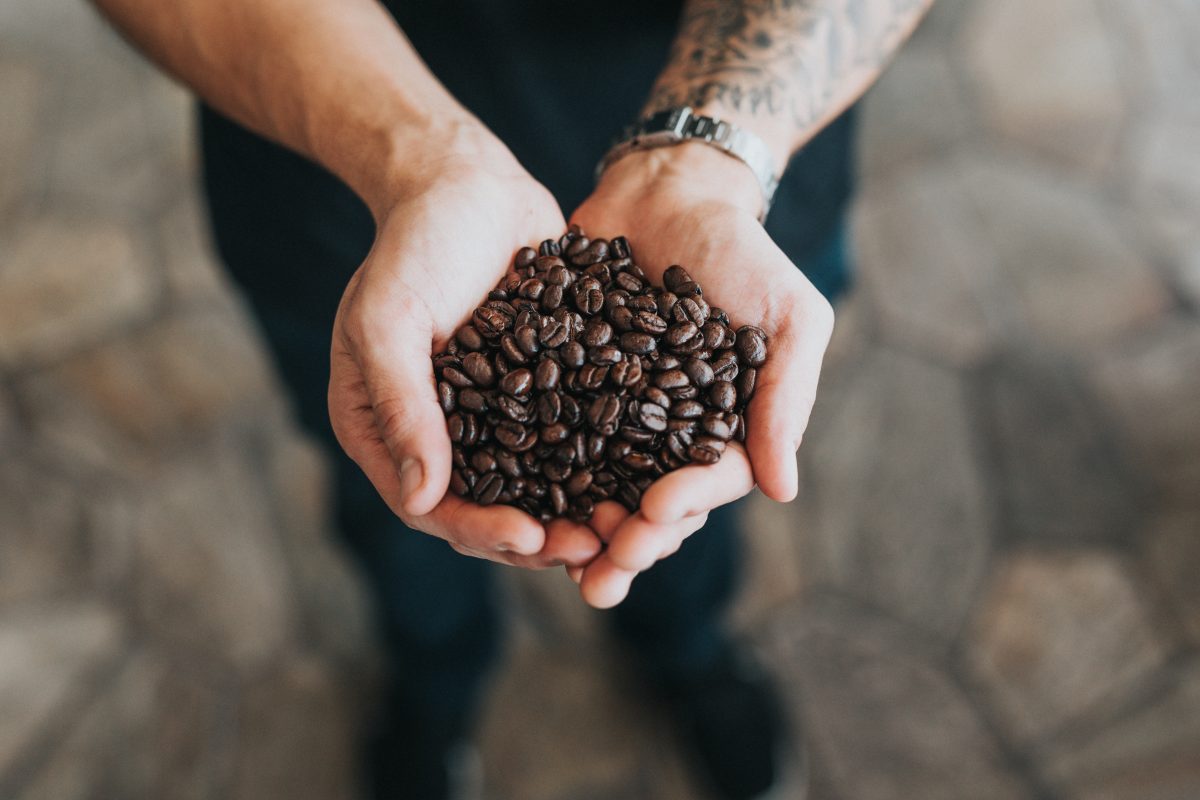 person holding hawaiian coffee beans in their hand.