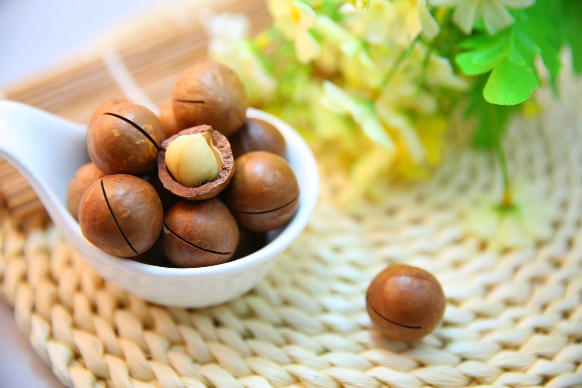 cracked and open macadamia nuts in a tiny bowl, one of the snacks to buy as hawaiian food gifts.
