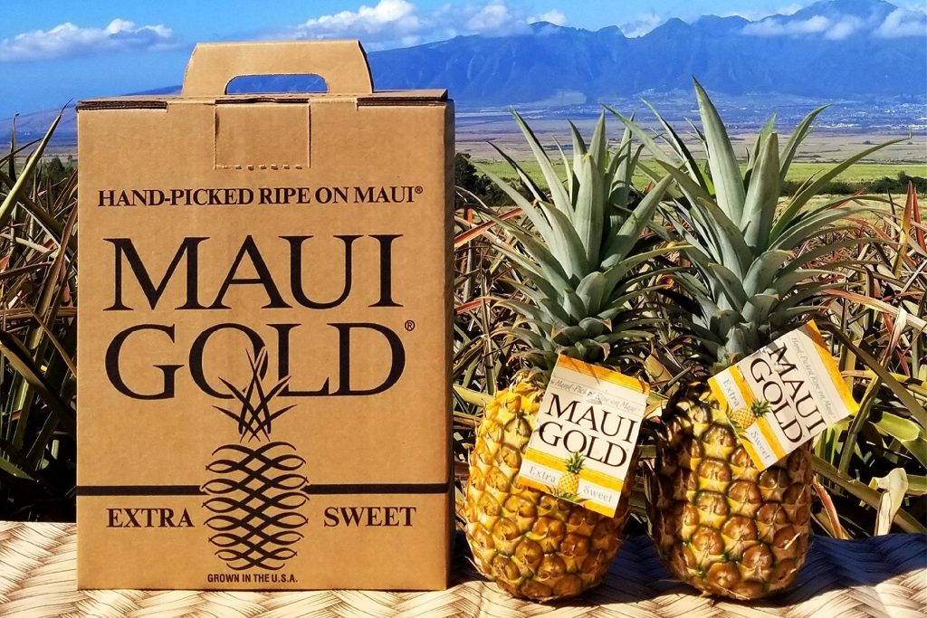 25 Best Hawaii Souvenirs to Take Home TouristSecrets