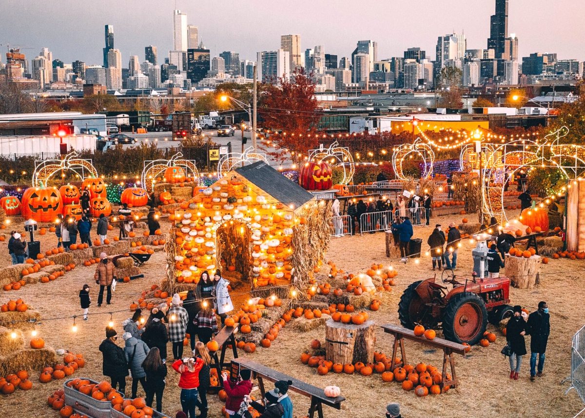 crowd strolling through the jack's pumpkin patch pop-up in chicago, one of the best places to visit in october in the usa.