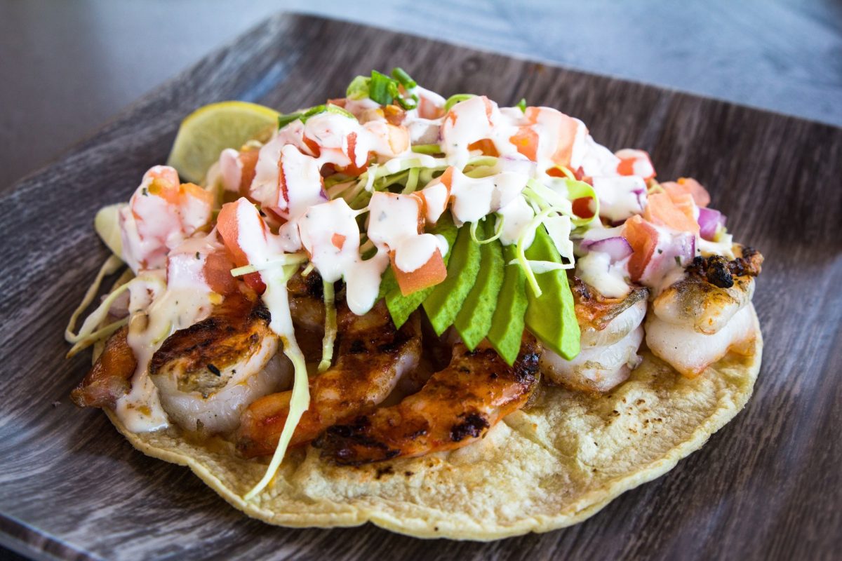 grilled shrimp taco from blue water seafood, one of the best tacos in san diego.