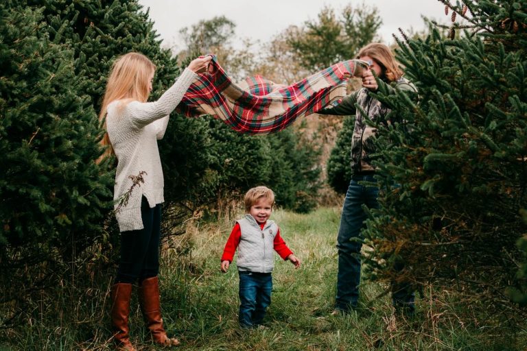 20 Best Christmas Tree Farm Near Me in the USA TouristSecrets