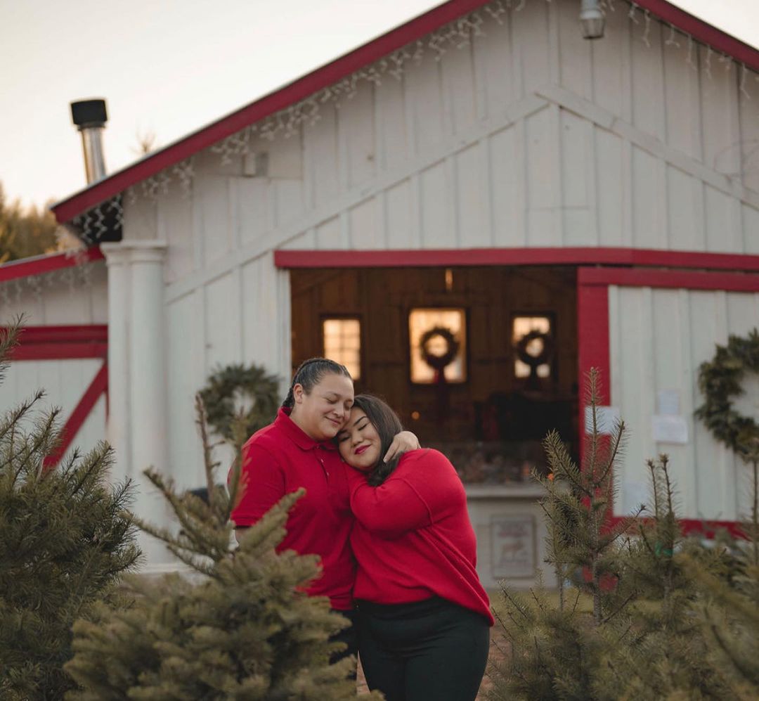 20 Best Christmas Tree Farm Near Me in the USA TouristSecrets