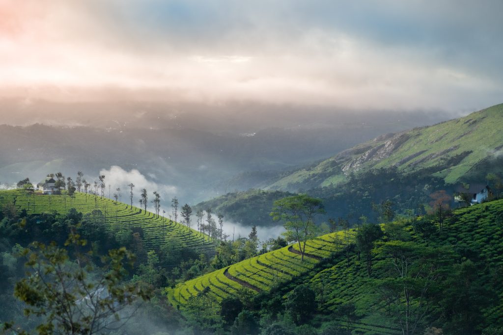 an aerial view of the sunrise at Vagamon, Kerala