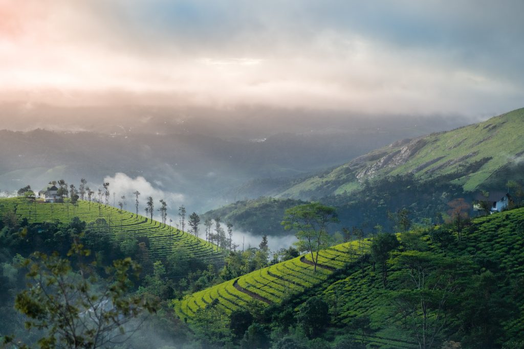 an aerial view of the sunrise at Vagamon, Kerala an aerial view of the sunrise at Vagamon, Kerala