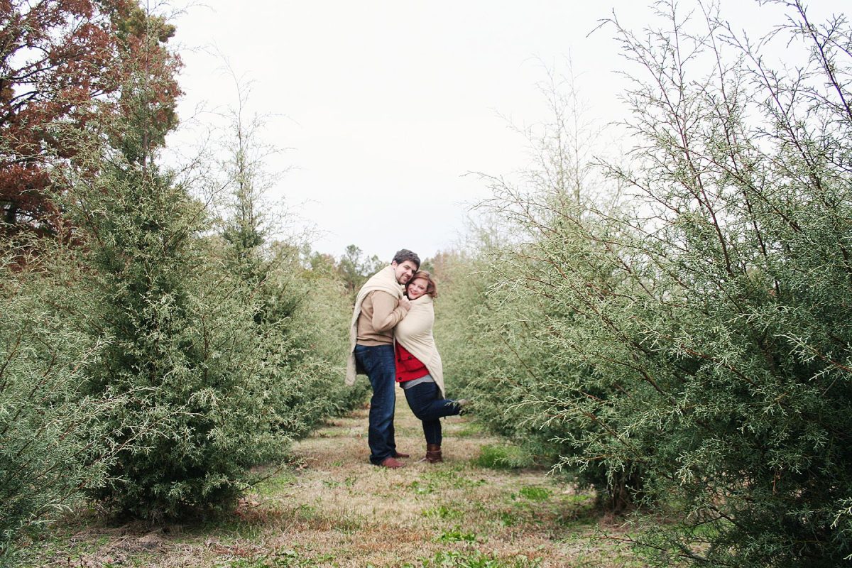 20 Best Christmas Tree Farm Near Me in the USA TouristSecrets