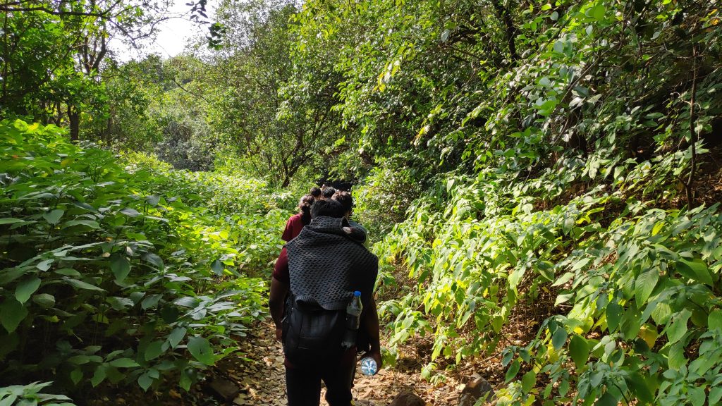 back view shot of a single file of people trekking through a jungle for ecotourism