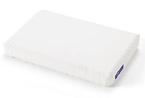 Purple Pillow: The Most Supportive Pillow Science can Dream up