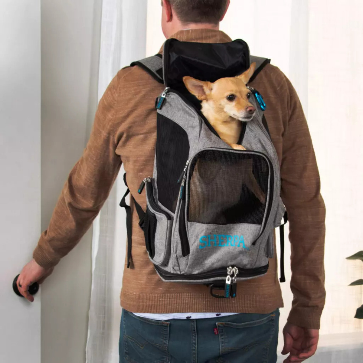 12 Best Dog Carriers 2023