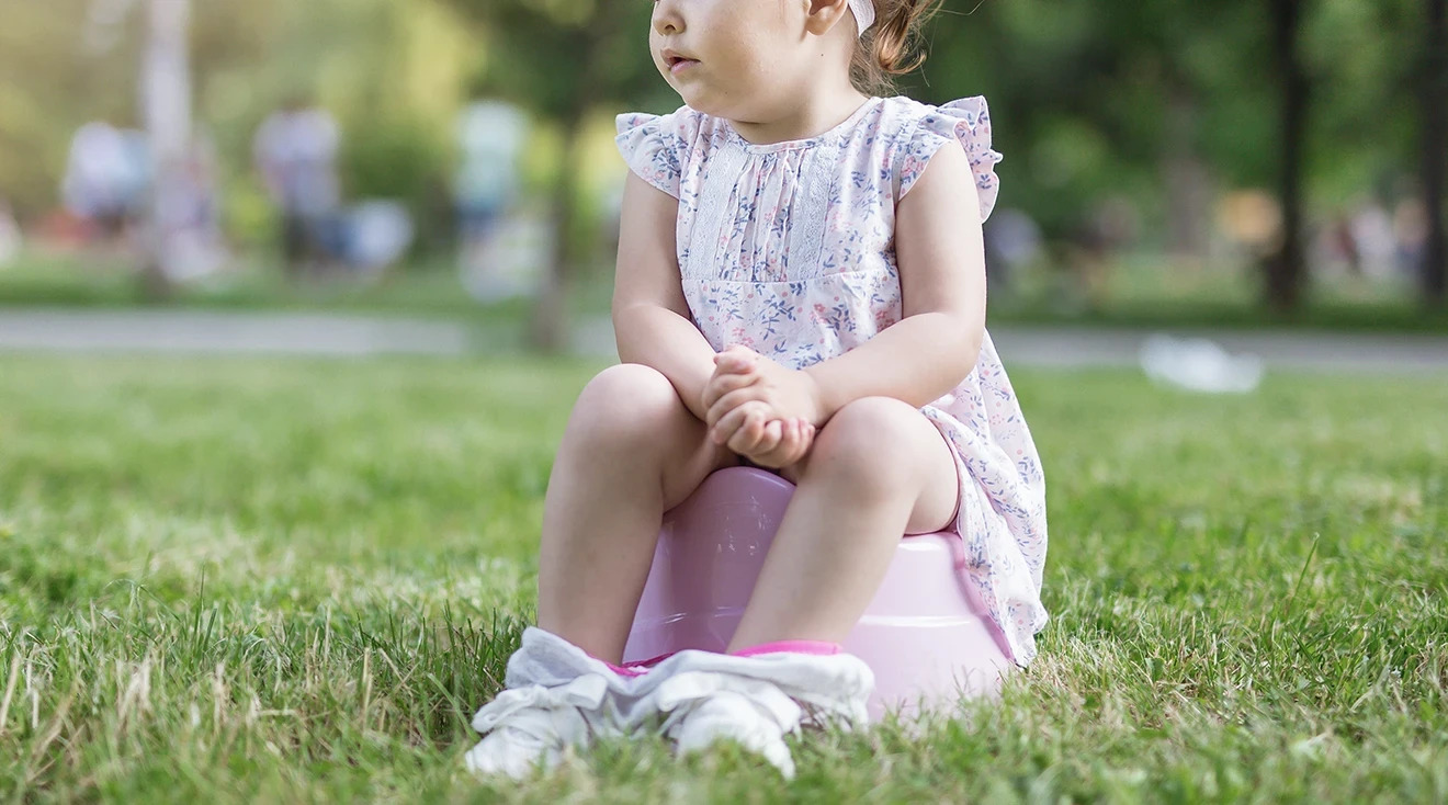 14-amazing-travel-potty-seat-for-toddler-for-2023