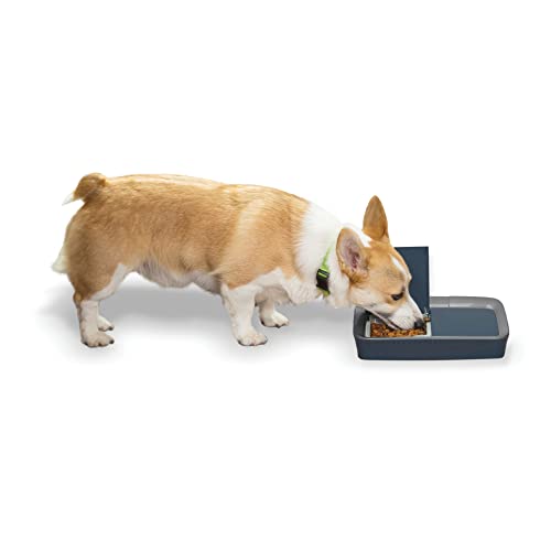 PetSafe Digital 2 Meal Programmable Pet Feeder