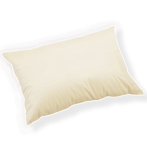 Luxurious Organic Travel Pillow