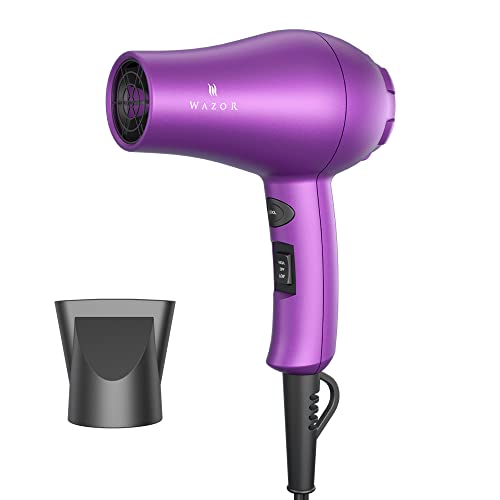 Wazor Compact 1000W Blow Dryer for Kids & Pour Painting